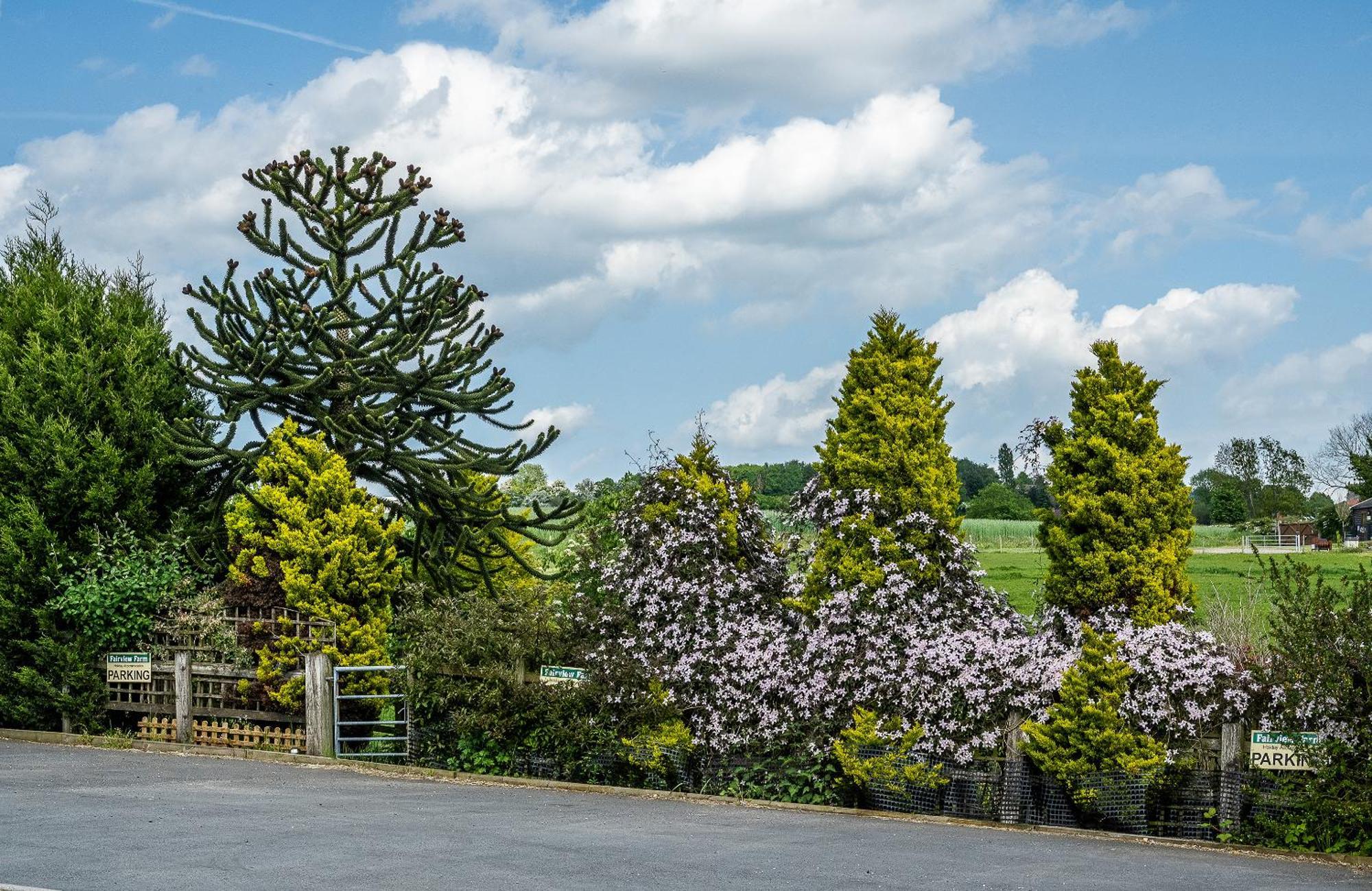 Upside Down House - Sleeps Up To 6 Guests - Great For Family And Friends Gatherings,Corporate Events ,Near Sherwood Forest At Fairview Farm In Nottingham Set In 88 Acres Exteriör bild